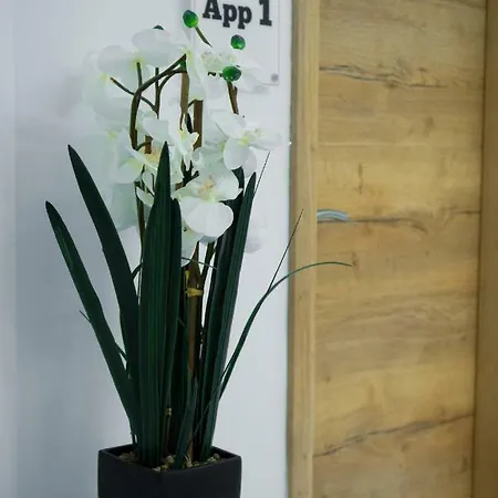 Appartement Amarru *