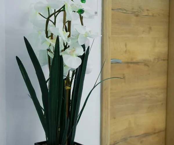 Lägenhet Amarru Apartments *